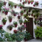 Los patios de Córdoba: arte y tradición