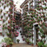 Música, arte y compás en la VIII Noche Blanca del Flamenco de Córdoba