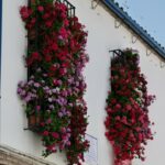 Cosas que no deben faltar en tus celebraciones.