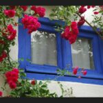 Bodas de verano. ¿Cómo prepararlas?