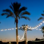 Nueva edición de Flora: el festival de la flores