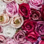 ¡ Haz planes esta primavera !