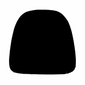 COJIN ESPUMA NEGRO